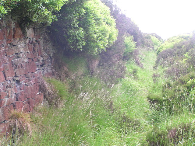 Millennium Way above Denholme - geograph.org.uk - 458774