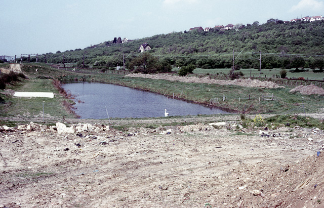 Old borrow dyke, Hadleigh Marshes - geograph.org.uk - 1519317