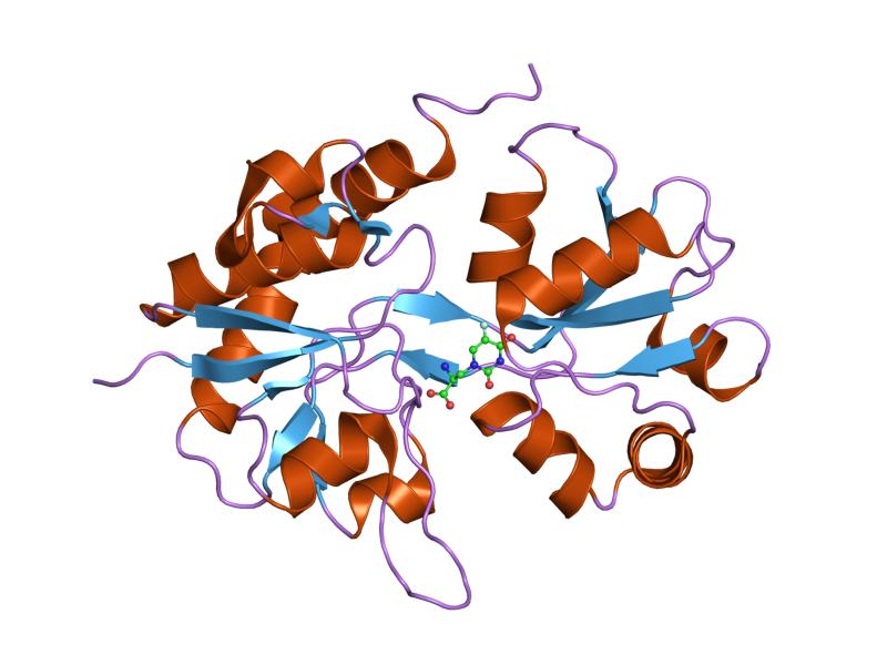 File:PDB 1mqi EBI.jpg