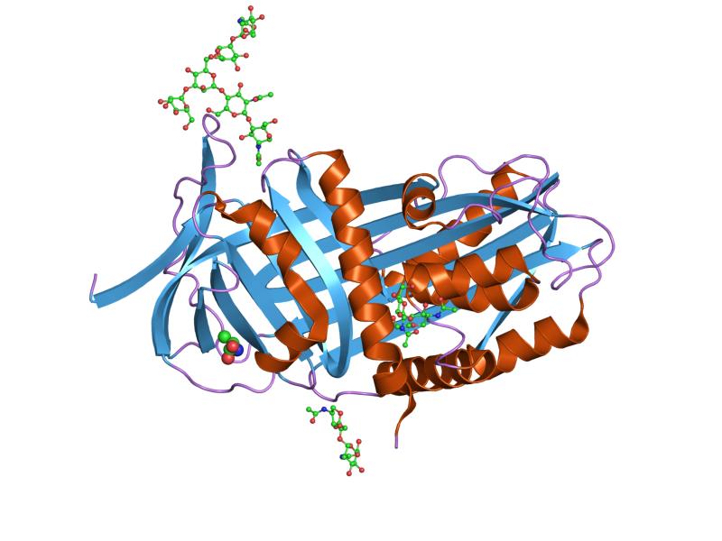 File:PDB 7api EBI.jpg