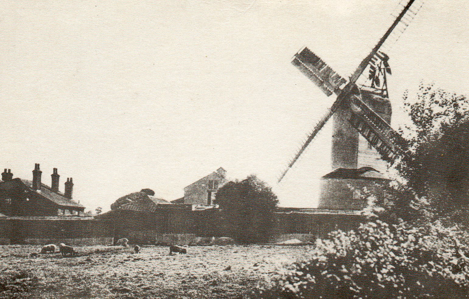 Ramsey Windmill, Essex