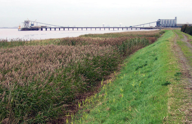 File:Reedy River Bank - geograph.org.uk - 60763.jpg