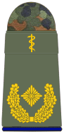 File:SanH 311-Generalarzt-(Humanmedizin).png