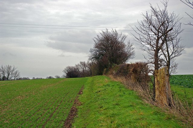 St Peters Way - geograph.org.uk - 301358