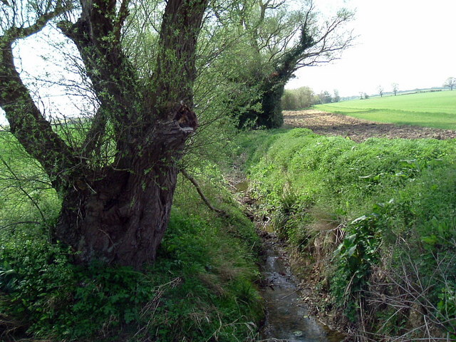 File:Stream - geograph.org.uk - 405889.jpg