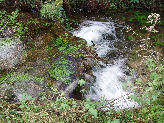 File:Stream in Foage Valley - geograph.org.uk - 87671.jpg