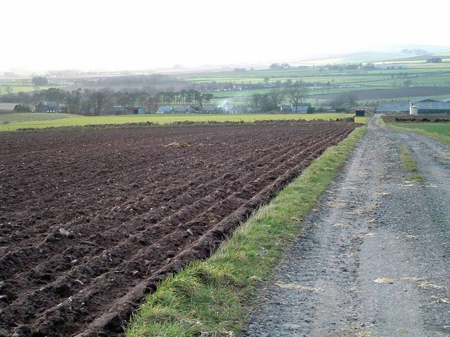 File:Track to Wester Gospetry - geograph.org.uk - 357036.jpg