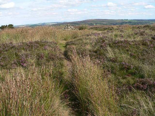 File:Tumulus on Withypool Hill - geograph.org.uk - 53965.jpg