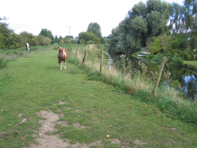 Water End, Langford, Beds - geograph.org.uk - 50741