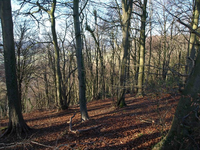 Wotton Hill