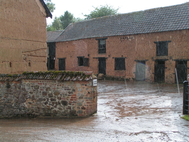 File:Woodrow in the rain in July - geograph.org.uk - 1411457.jpg