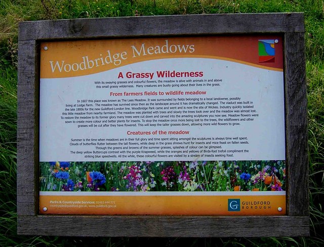 File:"A Grassy Wilderness" information board, Woodbridge Meadows, Guildford - geograph.org.uk - 1447790.jpg