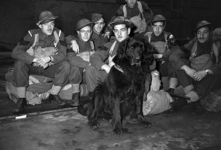 File:1941-10-27 Royal Rifles of Canada and Gander the dog en route to Hong Kong from Vancouver.jpg