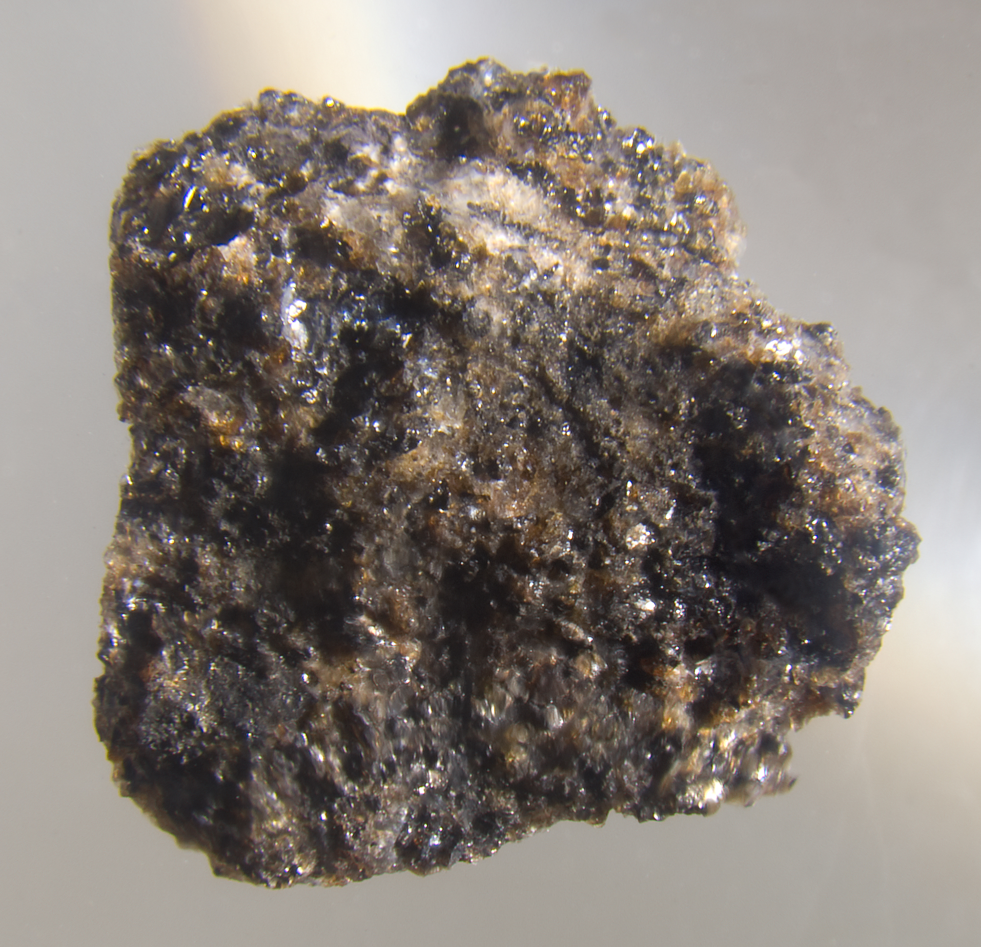 月の石 Moon Rock: 最新の百科事典、ニュース、レビュー、研究