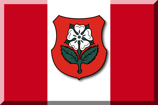 File:Barnsley FC footie flag.png