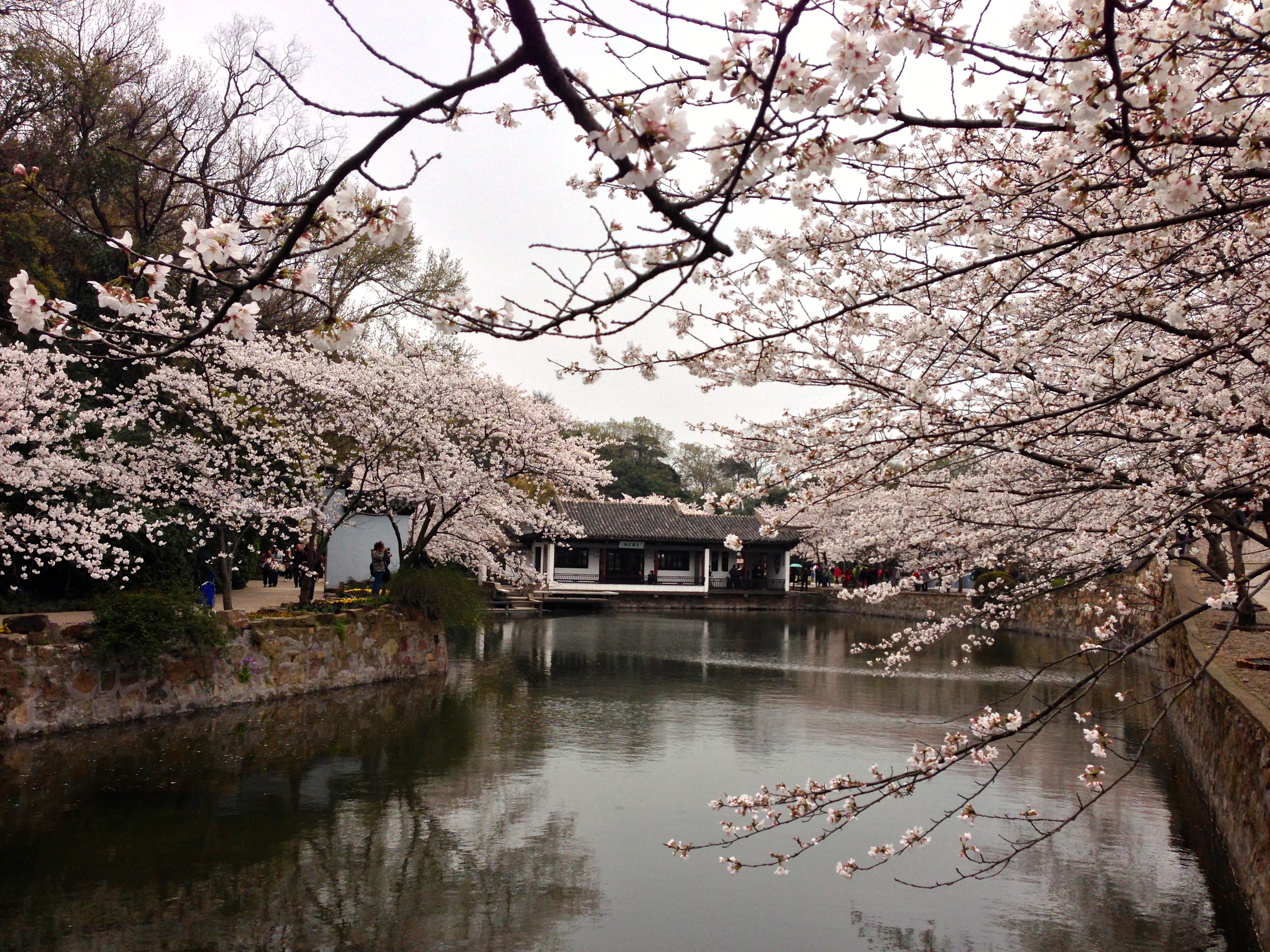 Wuxi jiangsu china. Цзянсу Китай. Jiangsu Китай. Jiangsu.