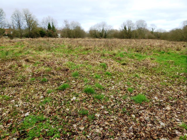 File:Boxford Water Meadows (3).jpg