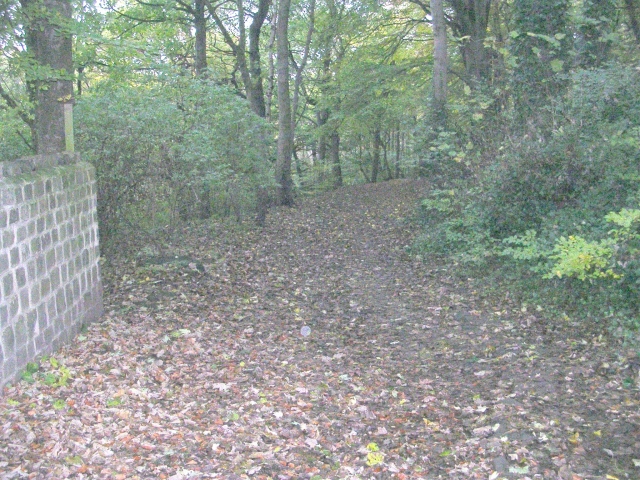 File:Bridleway from Carr Road to Apperley Bridge - geograph.org.uk - 1035476.jpg