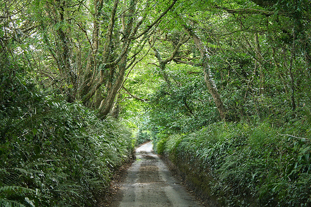 File:Brixton, by Wollaton Plantation - geograph.org.uk - 553652.jpg