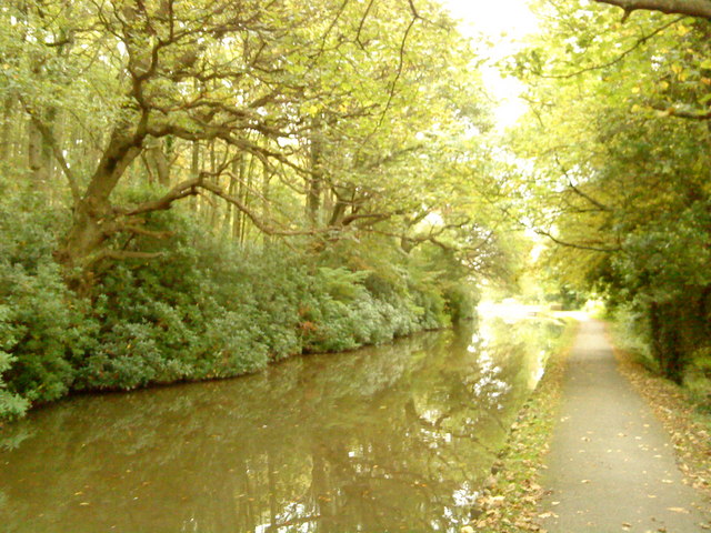 File:Canal in the trees - geograph.org.uk - 2123016.jpg