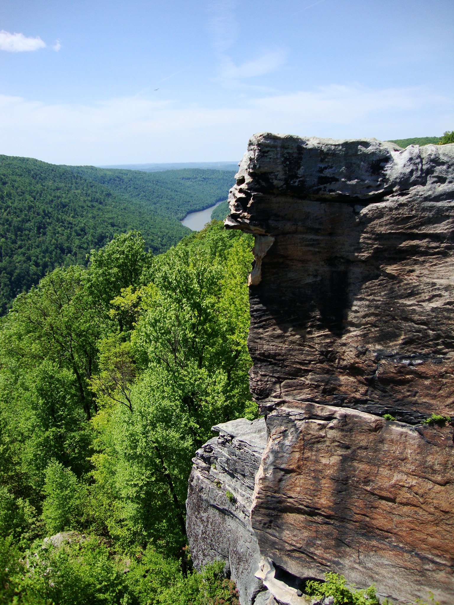 Coopers Rock State Forest - Wikipedia