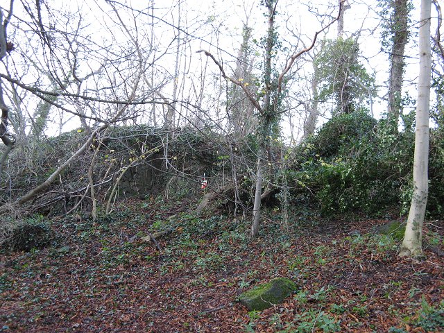 File:Crag, Craiglockhart - geograph.org.uk - 288329.jpg