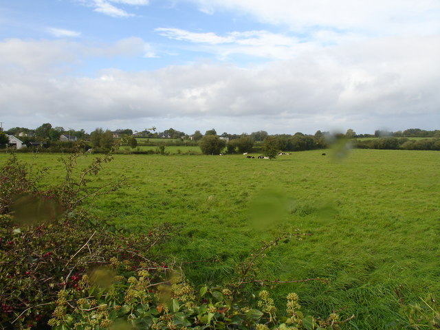 File:Derryadd Country Scene - geograph.org.uk - 568482.jpg