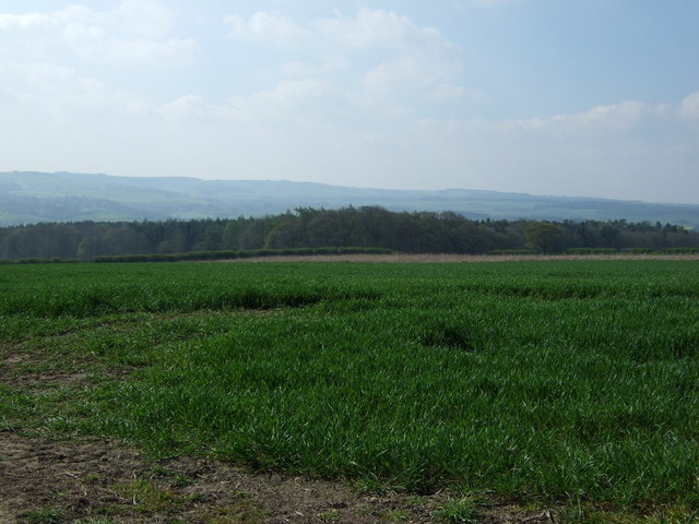 File:Farmland towards Short Wood - geograph.org.uk - 4445341.jpg