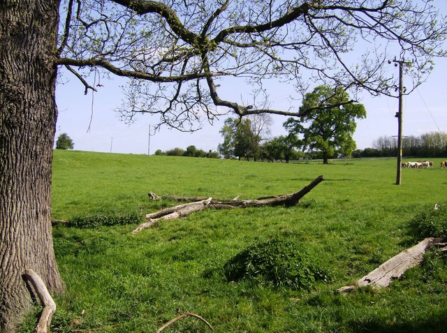 File:Footpath from Flore - geograph.org.uk - 489979.jpg