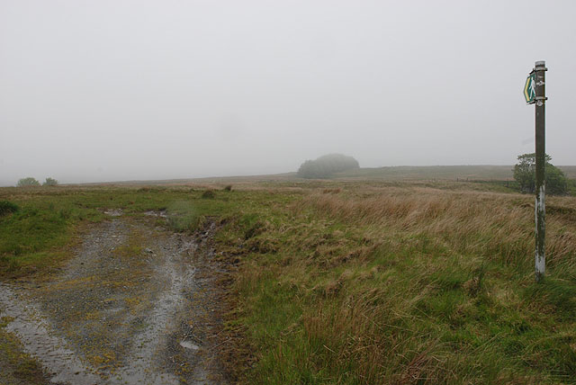 File:Footpath heading west - geograph.org.uk - 1325251.jpg