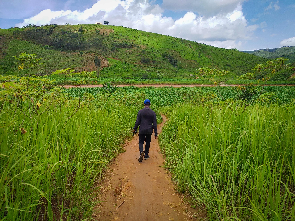 Walking green