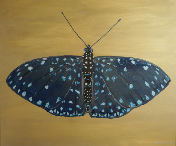 A painting of a butterfly with dark blue-grey wings with light blue spots