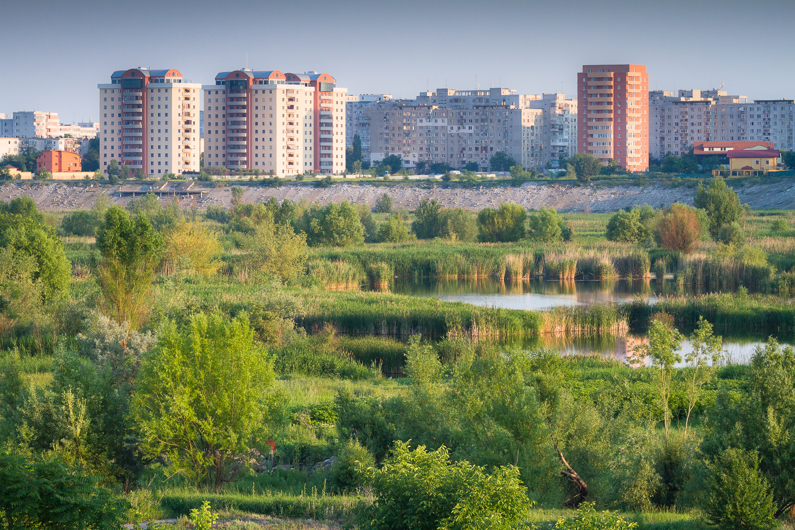 Parcul Natural Văcărești - Wikipedia