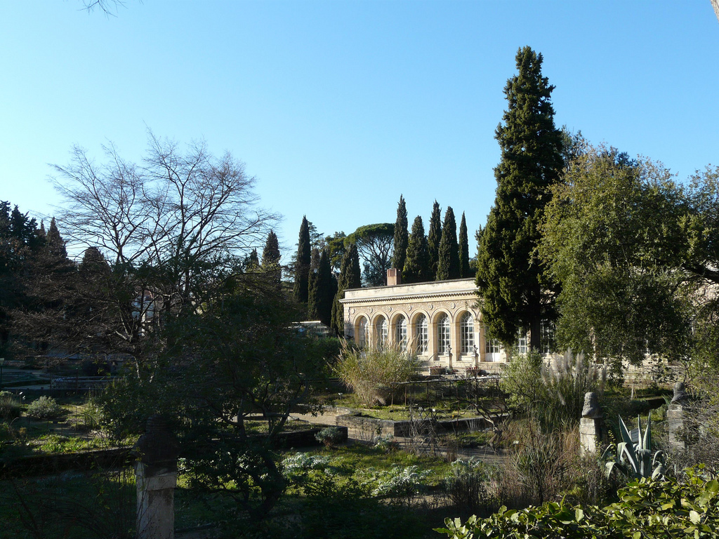 Jardin des plantes de Montpellier - Wikipedia