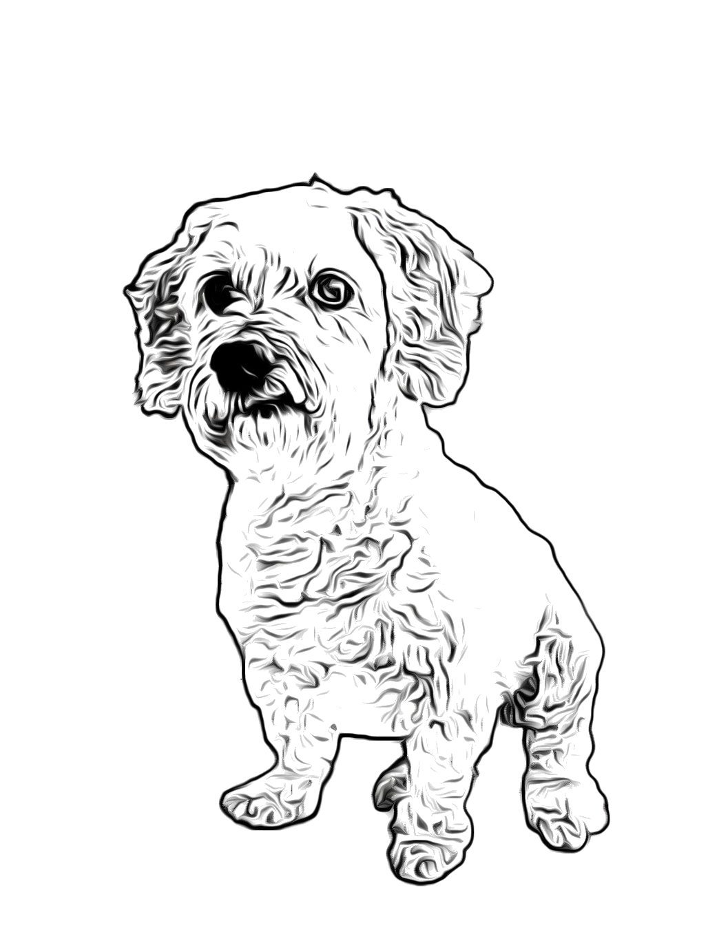 black and white dog drawing