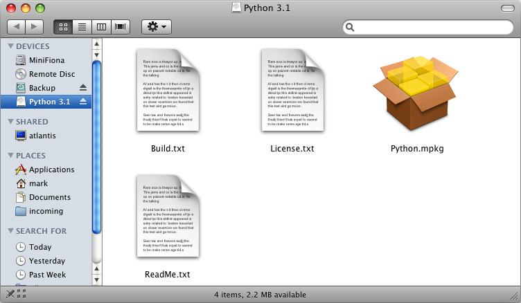 Disc Python. Build txt