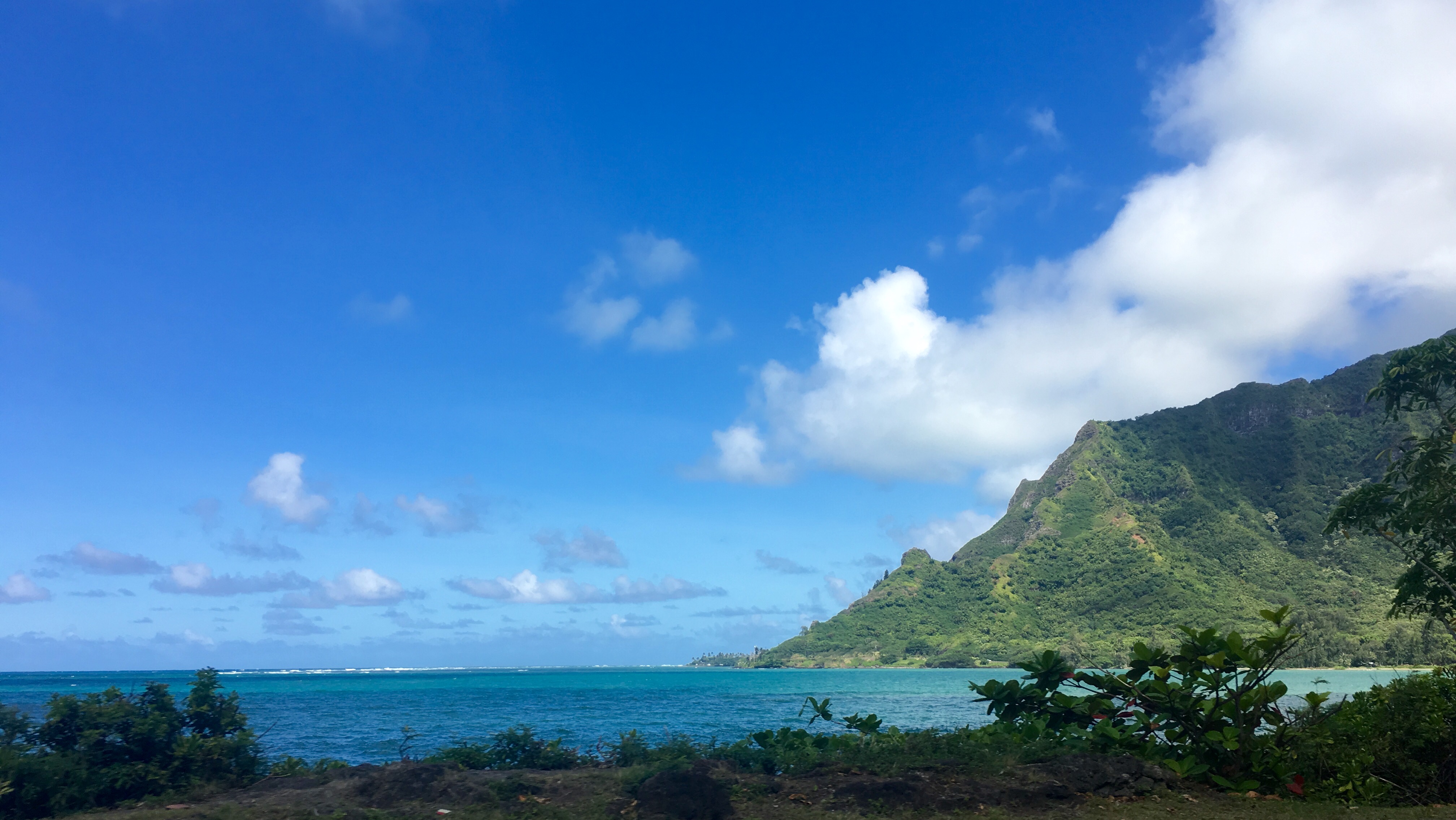 Oahu koko Creater