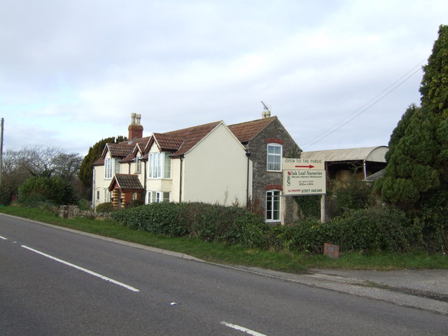 File:Oak Leaf Nurseries - geograph.org.uk - 314793.jpg