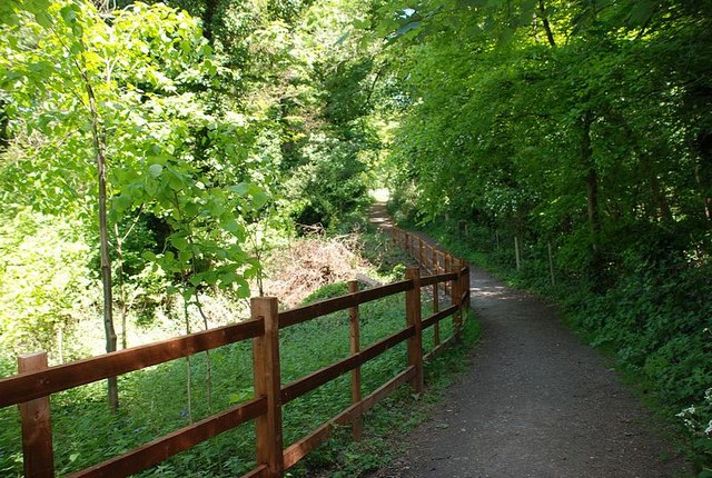 Saltwells Nature Reserve - geograph.org.uk - 1305833