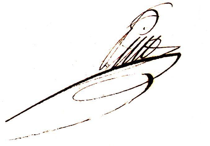 File:Signature Dominico Pino.jpg