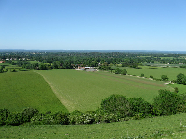 Sullington Warren