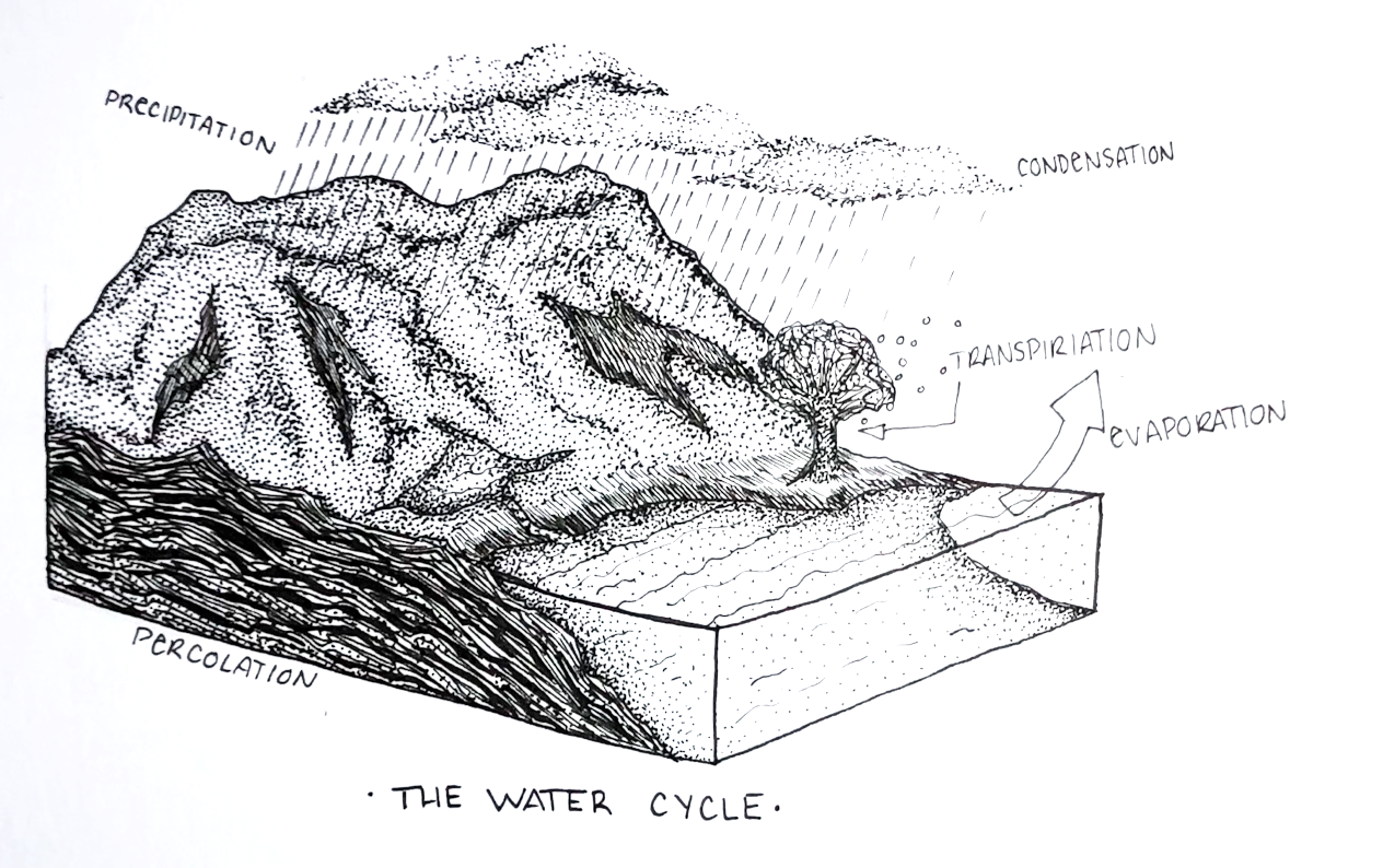 How TO Draw Water Cycle Step By Step/water cycle drawing/school project -  YouTube