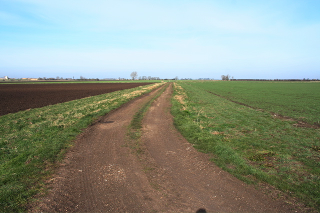 File:Track near Ring Farm - geograph.org.uk - 714959.jpg