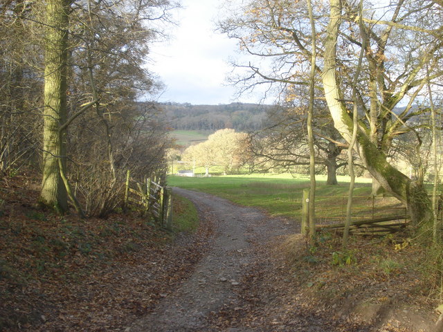 File:Track to Hillend Farm - geograph.org.uk - 627979.jpg