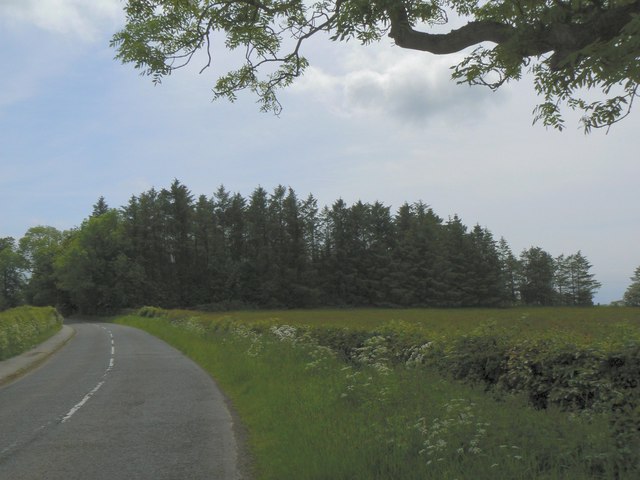 File:Trees near Stockbridge - geograph.org.uk - 190510.jpg