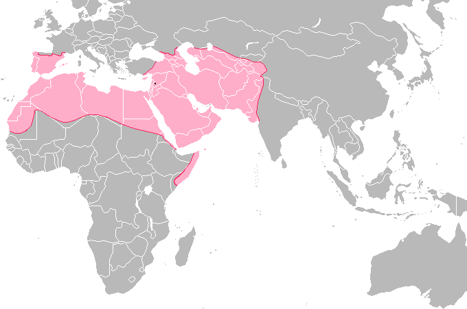 ملف:Umayyad-Empire.png