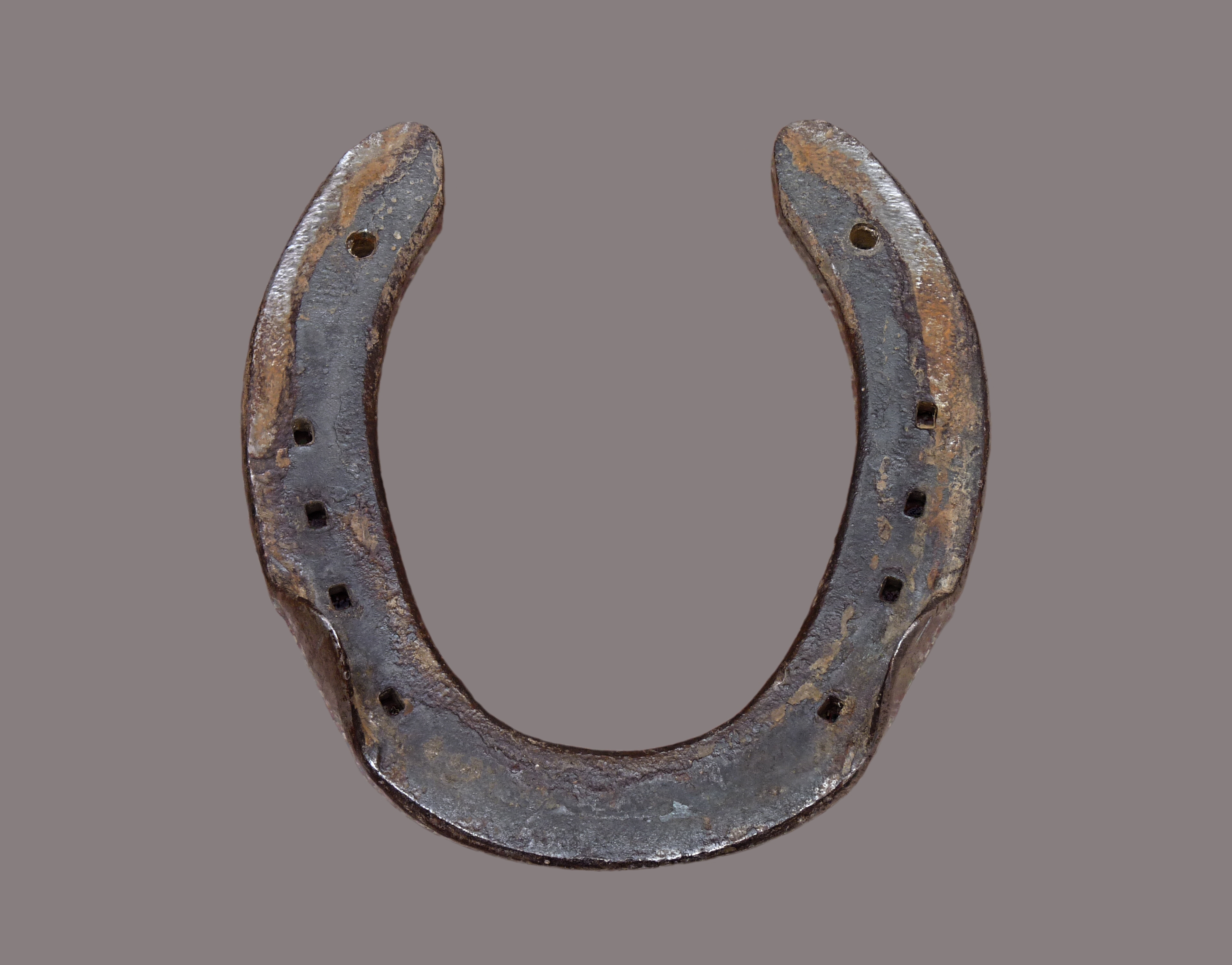 Horse shoe