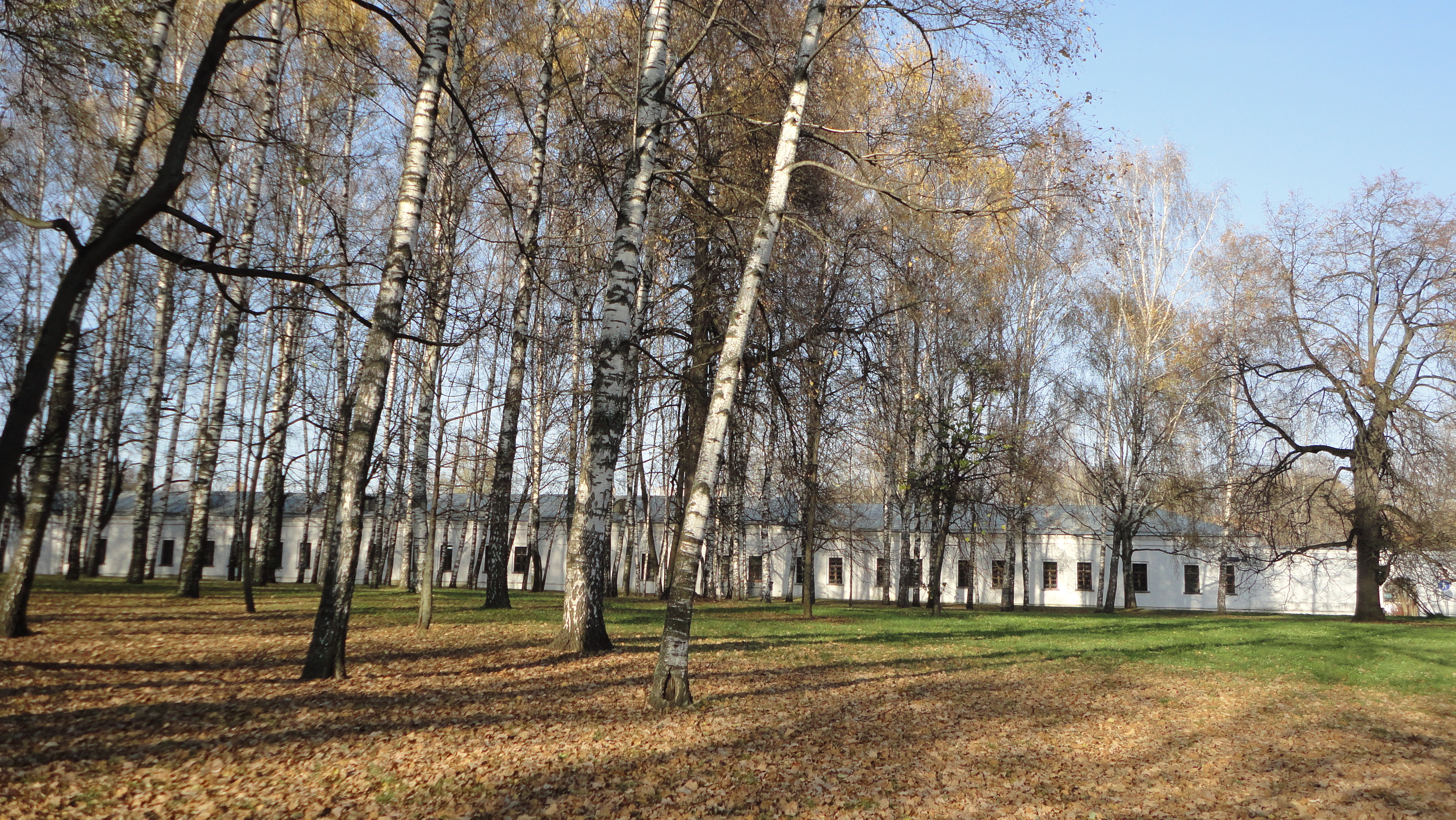 Парк усадьбы Яновских Калуга. Парк усадьбы Щеглово. Парк усадьба Багратион Мухранских. Парк усадьбы Дубки Ломоносов. Парки усадьбы до какого числа