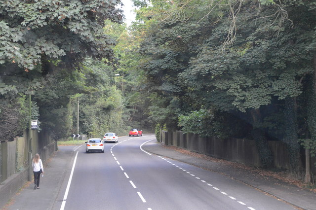 File:A22, Lewes Rd - geograph.org.uk - 5249748.jpg