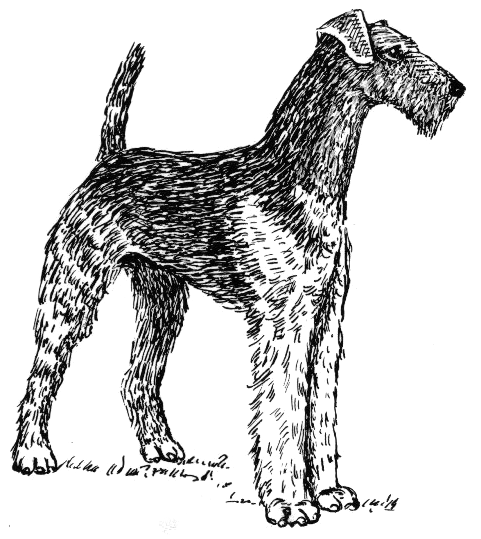 File:Airedale (PSF).png